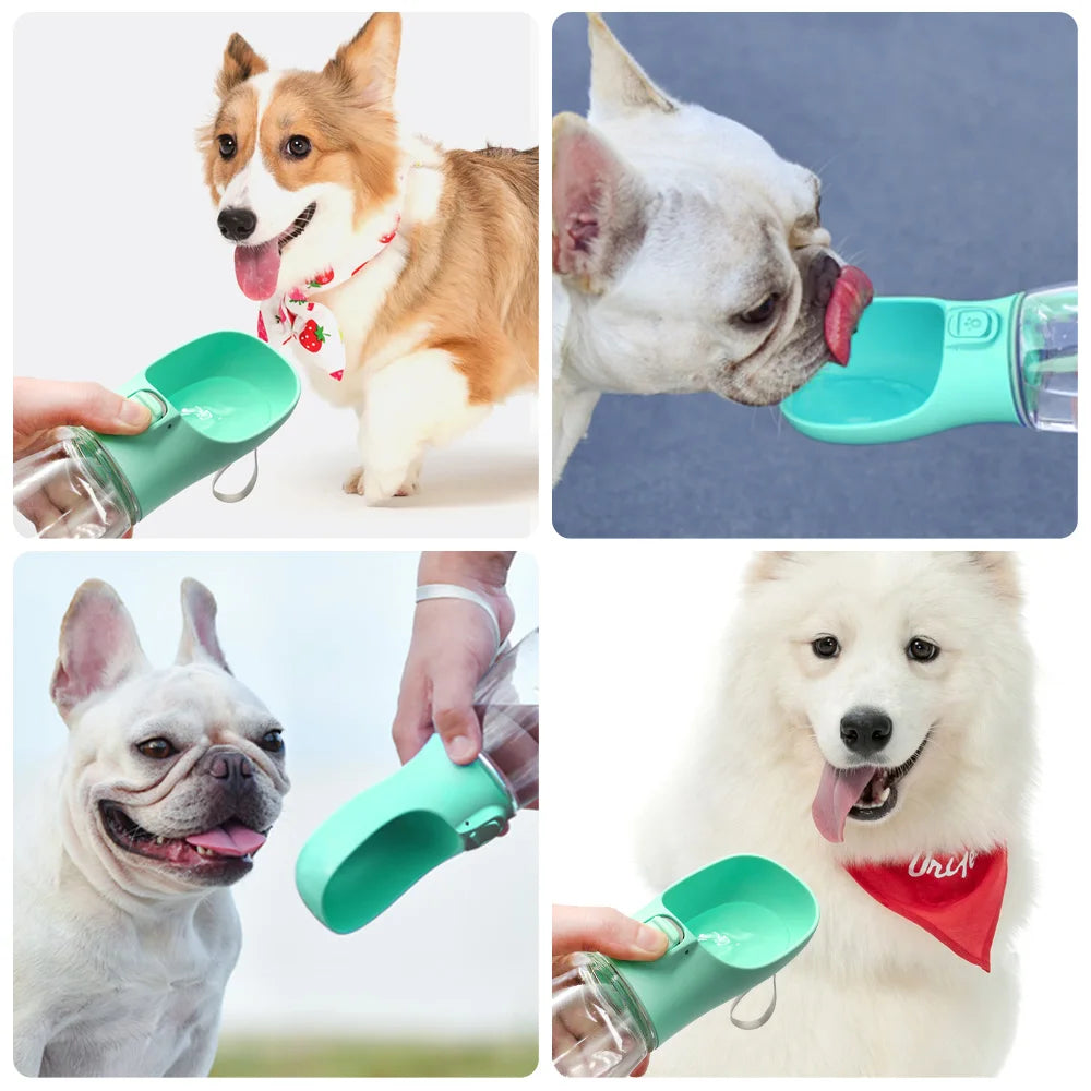 gourde pour chien MyPets