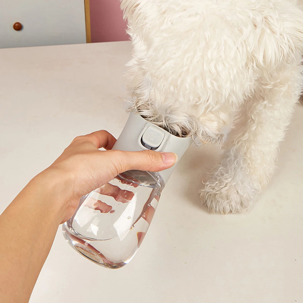 gourde pour chien MyPets