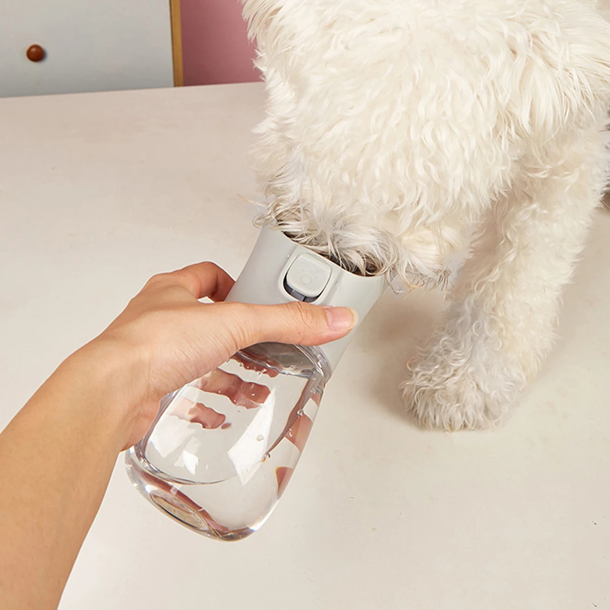 gourde pour chien MyPets