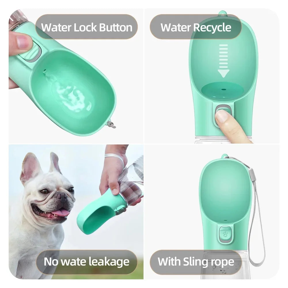 gourde pour chien MyPets